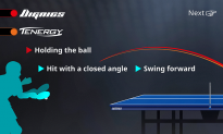 3: Dignics demuestra su autntica vala al golpear la pelota con un ngulo cerrado de la raqueta. Permite un golpeo ms hacia delante y aporta mayor potencia a la pelota.