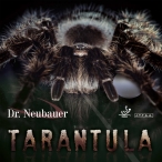 Goma Dr. Neubauer Tarantula                       