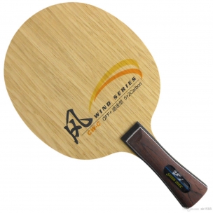 Madera DHS CW-E Carbon                            