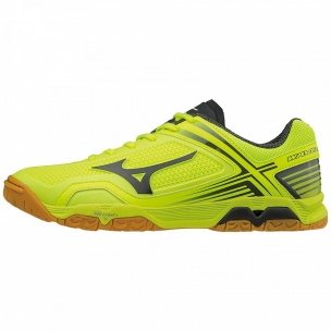 distribuidores zapatillas mizuno en chile