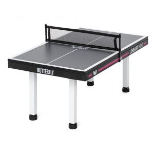 Mini Mesa de Ping Pong –