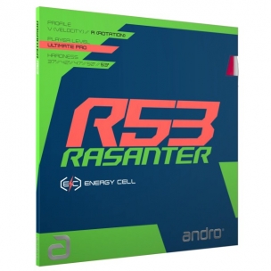 Goma Andro Rasanter R53 ( SUPERFICIE COLOR VERDE )       