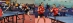 Polo Butterfly Lady Selección Española 2019/20 Polo Butterfly Lady Selección Española 2019/20