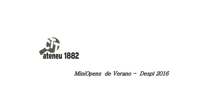 MINI OPENS DE VERANO - D´ESPI 2016 MINI OPENS DE VERANO - D´ESPI 2016